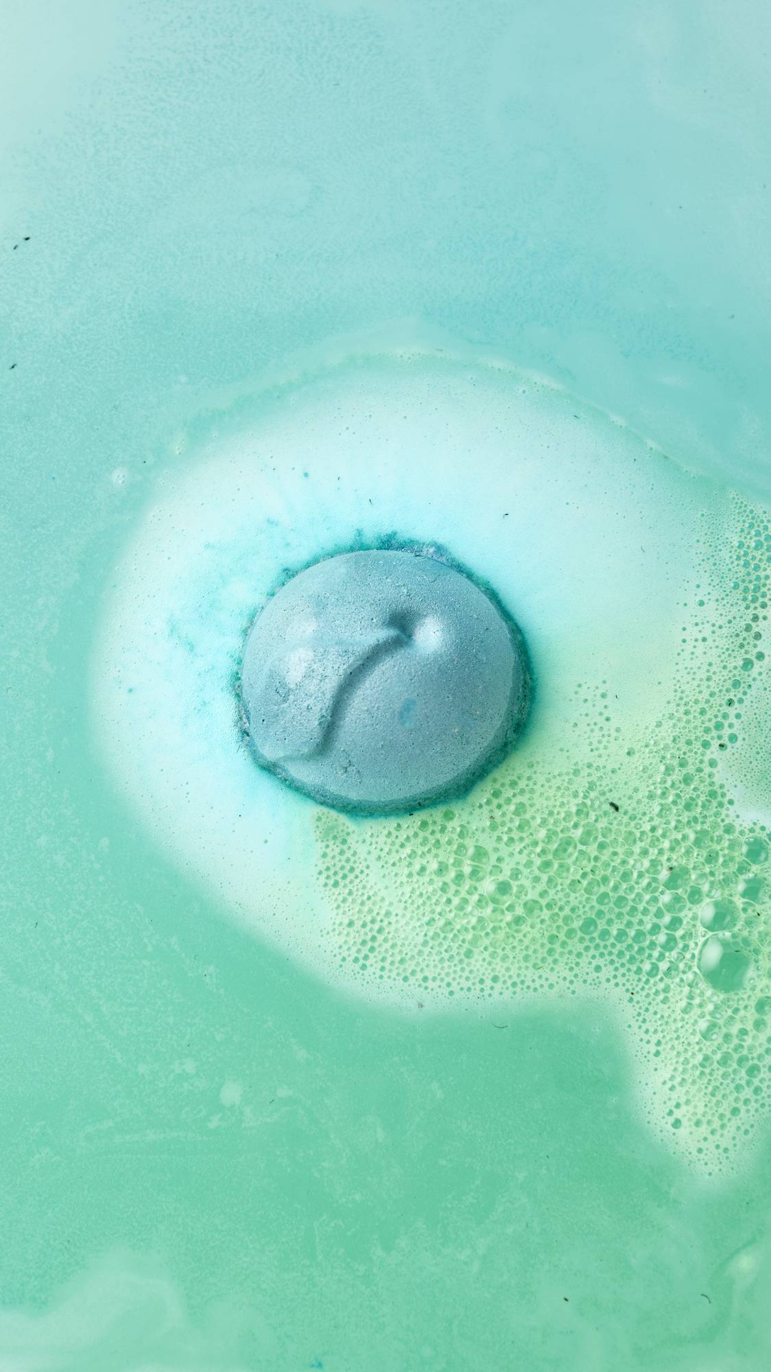 1568EF5E-C3F4-9646-E08E-1FA71C94EA08