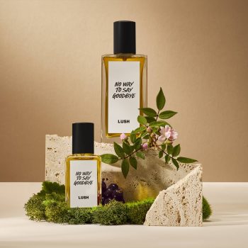 No Way to Say Goodbye