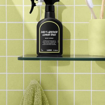 Dad's Garden Lemon Tree