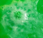 2F1D73D4-AF32-D2E2-5122-4039636C864D