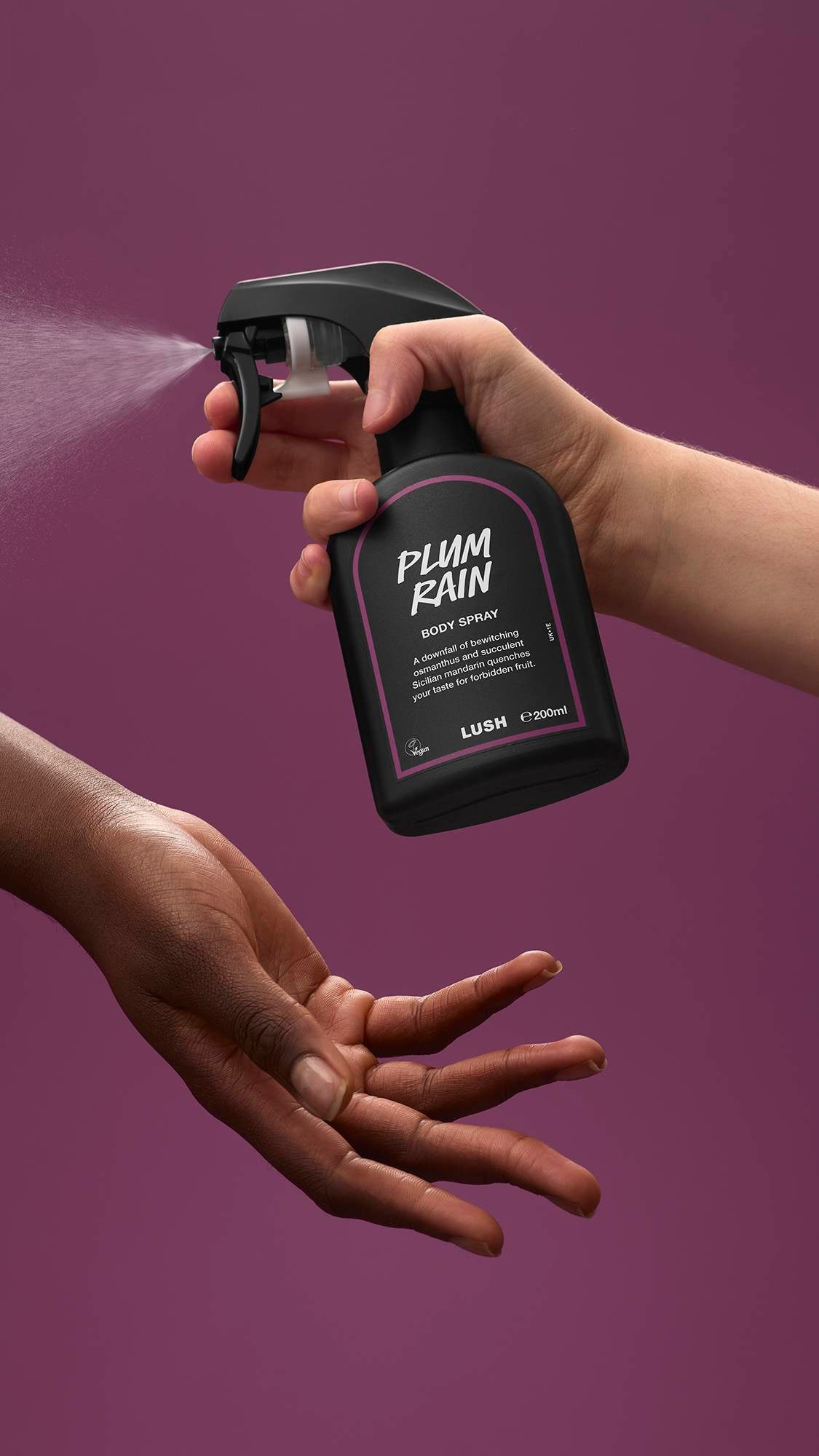 BDF21250-BBD3-085A-5E0C-8E0550323BC2