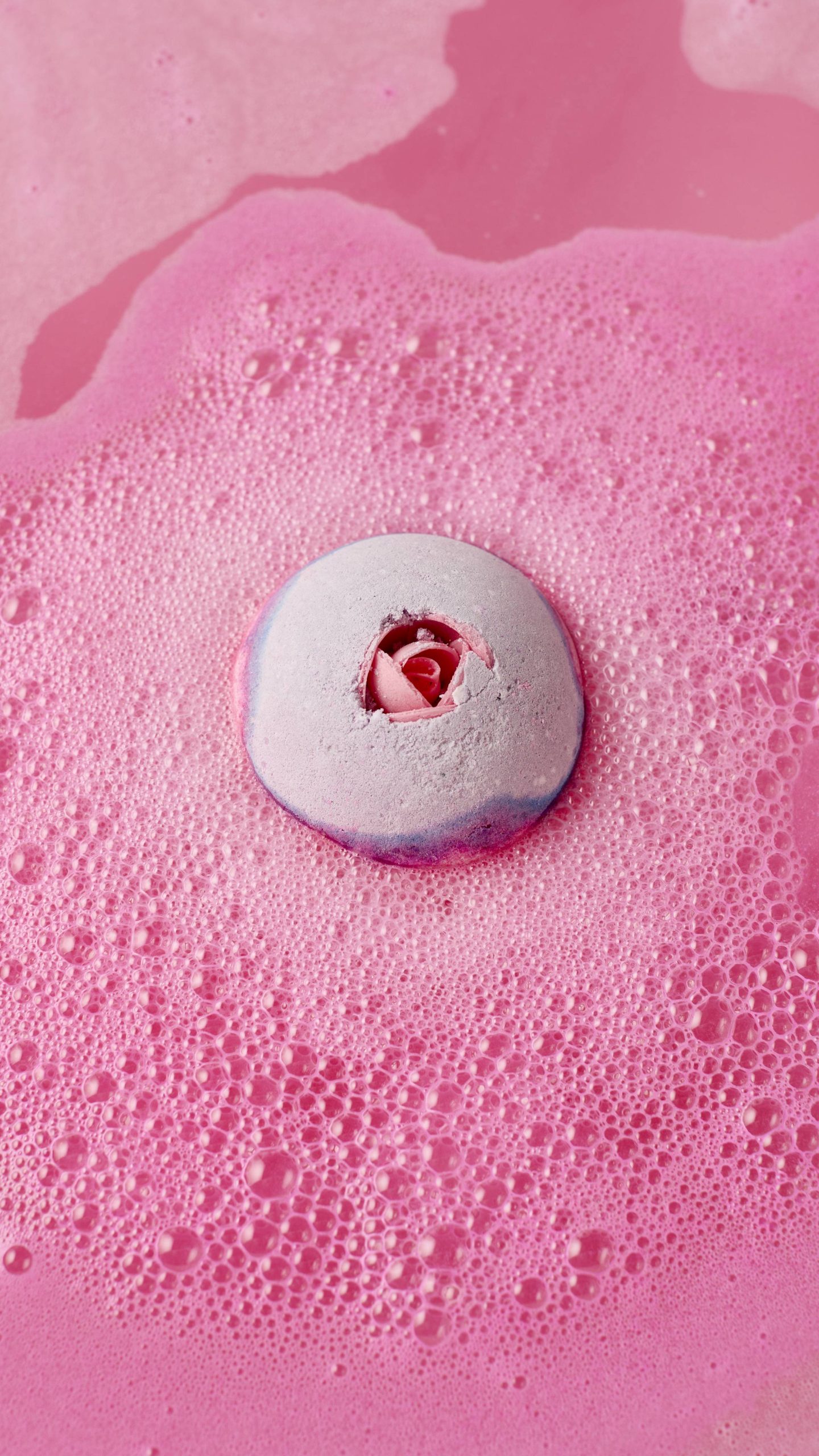 C869611E-B8EE-7390-58F1-E4874DBF16DA